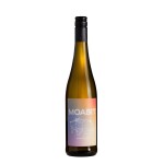 Moabit Grauburgunder trocken 2023 – Urbaner Weißwein mit Stil Taudtmann Feinkost | Moabit Edition | 0,75 l | trocken & säurearm 🍇 Grauburgunder trifft Großstadt – Der Wein für Moabit