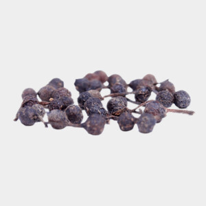Spicebar Wilder Voatsiperifery Pfeffer 2